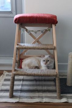 a cat sitting in a wooden chair on top of a rug