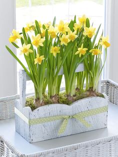 some yellow daffodils are in a basket on a table