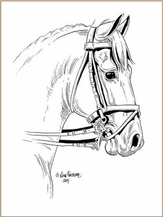Lena Furberg horses dressage horse Horse Silhouette, Horse Pencil Drawing