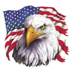 Eagle Shirts, American Bald Eagle, Eagle Tattoos, Eagle Tattoo