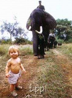 a small child standing in front of an elephant