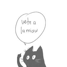 Humour, Chat, Gatos, Cat Love, Animales, Animais, Fotos, Cute