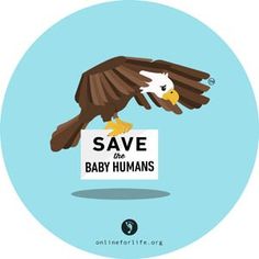 Eagle: OFL Sticker – Online for Life Eagle, Human Babies, Precious, Save, Human Human, Human, Life Is Precious, Vulnerability