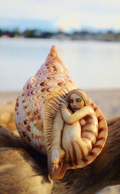a shell with a woman in it sitting on a tree branch