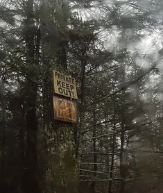 a sign that is on the side of a tree in the woods with trees behind it
