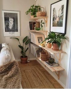 a living room filled with lots of plants and pictures on the wall next to a couch