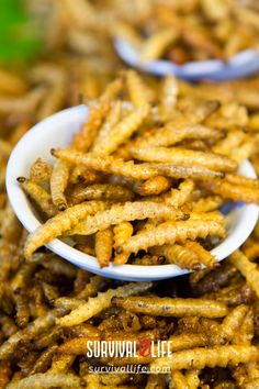How do you feel about eating bugs and insects? When your life depends on it, you will not have a choice. Perhaps, you can make it a better experience with the recipes we have here. Snacks, Stir Fry, Bugs And Insects, World Cuisine, Survival Food, Food Source, Nutrient