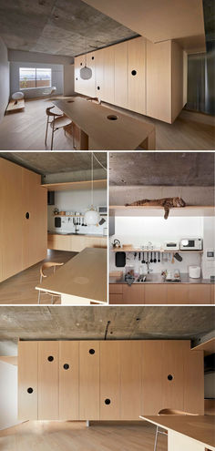 Revamping a secondhand #apartment for a married couple and their two cats. The architects' goal was to create a living space that ensures the comfort of both humans and #felines within a standard 65 square meters, a common room size in #Japan. They endeavored to approach the #design from both the human and feline perspectives, taking into account lifestyle, habits, and safety. Learn more at Architonic.com #architonic #interior #interiordesign #apartmentinterior #moderninterior Japan Apartment, Apartment Interior