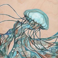 Tamara Phillips — jellyfish