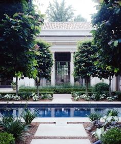 an outdoor pool surrounded by trees and plants in front of a white building with columns