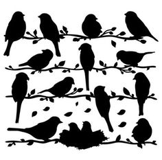 the silhouettes of birds are sitting on branches
