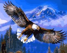 Fd4181 Diy Paint By Number On Canvas Digital Oil Painting Kit Flying Eagle\ Sanat, Canvas