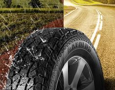 an image of a car tire on the side of the road with grass and trees in the background
