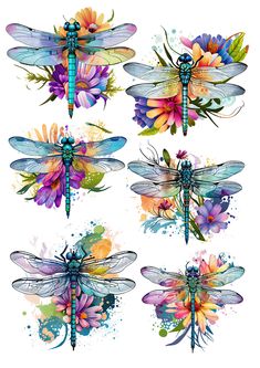 four dragonflys with flowers and watercolor splashes on the wings, all in different colors