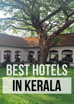 the words best hotels in kerala are overlaid by an image of a tree