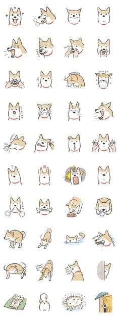 an image of cats and dogs with different expressions on the screen, including one cat's head
