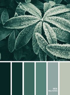 Green combination #color #colorinspiration #pantone #winter Winter, Colour Palette