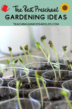 This collection of preschool gardening ideas is not just about planting, but is also filled with activities related to gardening. Seed exploration, bug houses, bugs made from stones, and more! Perfect for your gardening theme. #gardening #gardeningwithkids #preschool #plants #spring #planting #seeds #nature #AGE3 #AGE4 #teaching2and3yearolds Layout, Summer, Seed Activities For Preschool, Seeds Preschool, Gardening For Kids
