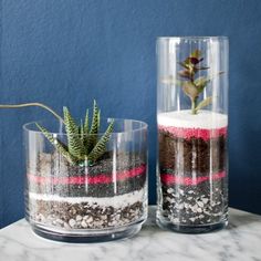 Make a fun striped succulent terrarium with colored sand. Cactus, Succulent Bowls, Terrarium Ideas, Small Succulents