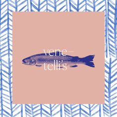 a fish with the words vene - tell's on it in blue and pink