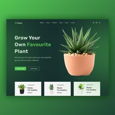 the landing page for an eco - friendly website with succulents on it