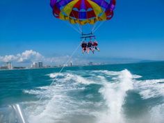 people parasailing in the ocean on a sunny day