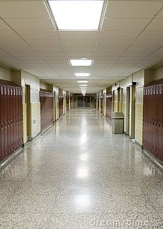 School Hallways, Hallway, School Clubs, Arquitetura