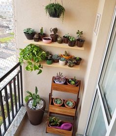 some plants are sitting on wooden shelves on the outside of a building with glass doors