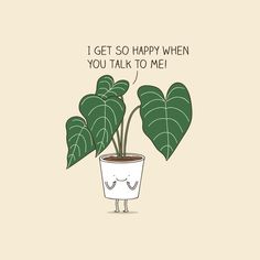 Funny Puns, Quotes, Plants Quotes, Cute Quotes, Plant Mom, Cute Puns