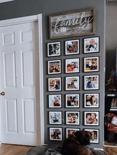 a dog laying on top of a bed in front of a wall covered with pictures