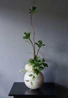 Vase, House Plants Decor, Floral Art Arrangements