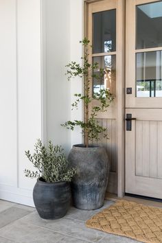 two large vases sitting next to each other in front of a door with plants growing out of them