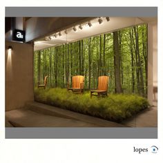 two wooden chairs sitting in front of a forest filled with green grass and trees on the wall
