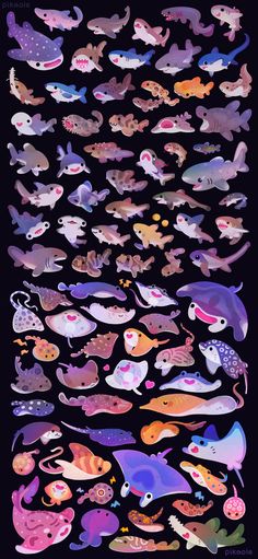 an image of many different types of fish