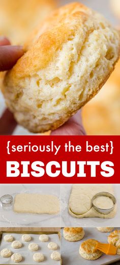 how to make biscuits Fluffy Homemade Biscuits, Best Biscuit Recipe, Homemade Bread Recipes, Easy Homemade Biscuits, Easy Biscuit Recipe, Homemade Biscuits Recipe, Homemade Bread Recipes Easy, Biscuits Easy, Homemade Biscuits