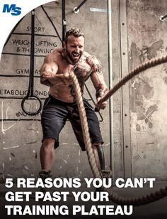 Don't get caught in that muscle building plateau and lose out on the chance to make even more gains. Address these 5 things and right the ship today. Motivation, Gym Motivation, Training Tips, Muscle Building Program