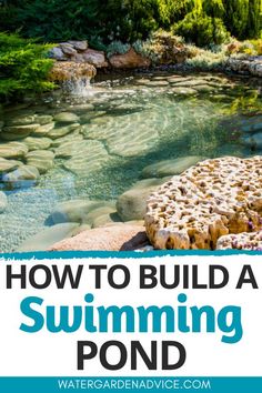 building a natural swimming pond Outdoor, Backyard Pool Designs, Swimming Pool Pond, Diy Swimming Pool, Ponds Backyard, Natural Swimming Pool, Swimming Ponds, Pool Landscaping