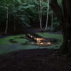 a car that is sitting in the middle of a swampy area with lights on