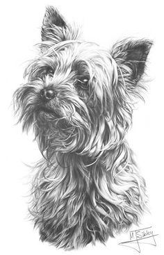 a black and white drawing of a dog
