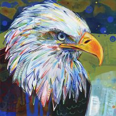 colorful close up painting of a bald eagle: Gwenn Seemel - Queen of the Sky (Bald Eagle) - 2012 acrylic on panel - 10 x 10 inches; Boys aren’t always bigger than girls. Among eagles and raptors of all kinds, it’s common for the female to be larger than the male. This size difference allows a male-female pair to pursue different prey, ensuring that everyone has enough to eat. Bird, Queen, American Artists, Birds