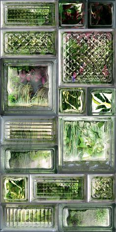 several glass blocks with plants in them and grass growing out of the bottom one side