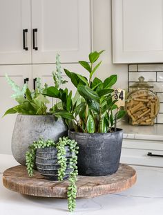 two potted plants sitting on top of a wooden tray in a kitchen next to white cabinets