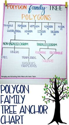 the polygon family tree is shown on a white board with blue and pink writing