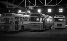 Photography, Sunderland, Echo, Olds, Depot, Metro, Bus, Buses, North
