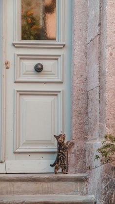 a cat sitting in front of a white door