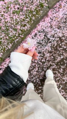 Cherry blossom, cherry blossoms aesthetic