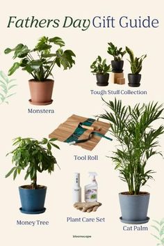 the fathers day gift guide includes plants, toiletries and other things to give him