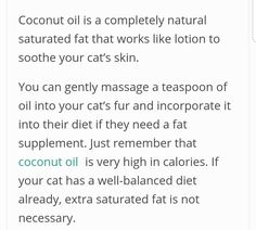 Coconut oil for cats Coconut Oil, Coconut Oil For Cats, Cat Skin, Saturated Fat, For Cats, Lotion, Massage, Coconut, It Works