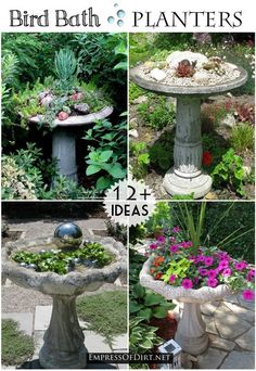 Container Gardening, Concrete Bird Bath, Garden Projects, Backyard Garden