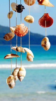 seashells hanging from strings in front of the ocean